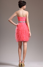 eDressit 2013 Neu Scharmant Trägerlos Cocktail Abendkleid (04135457)