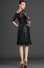 eDressit 2012 New Charming Overlace Sleeves Mother of the Bride Dress