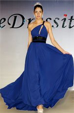 eDressit Stylish Single Shoulder Evening Dress