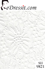 eDressit Lace Fabric (SH9821)
