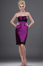 eDressit Bustier Petite Robe/ Robe de Cocktail (04111812)