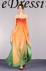 eDressit Gorgeous Gradient High Waistline Evening Dress