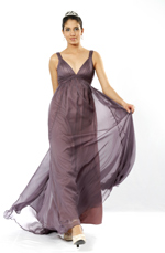 eDressit Elegant V-Cut Evening Dress